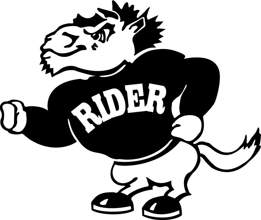 Rider Broncs 1994-2007 Secondary Logo diy iron on heat transfer